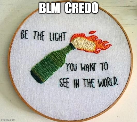 That, and $$$$$$$ | BLM  CREDO | image tagged in memes,blm | made w/ Imgflip meme maker