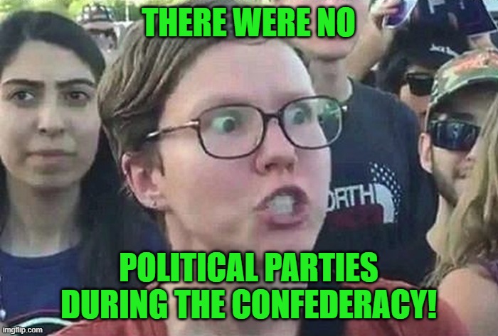 Triggered Liberal | THERE WERE NO POLITICAL PARTIES DURING THE CONFEDERACY! | image tagged in triggered liberal | made w/ Imgflip meme maker