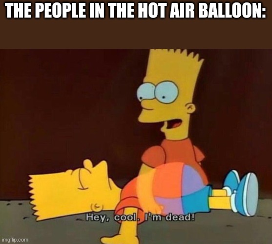 Hey, cool. I'm dead! | THE PEOPLE IN THE HOT AIR BALLOON: | image tagged in hey cool i'm dead | made w/ Imgflip meme maker