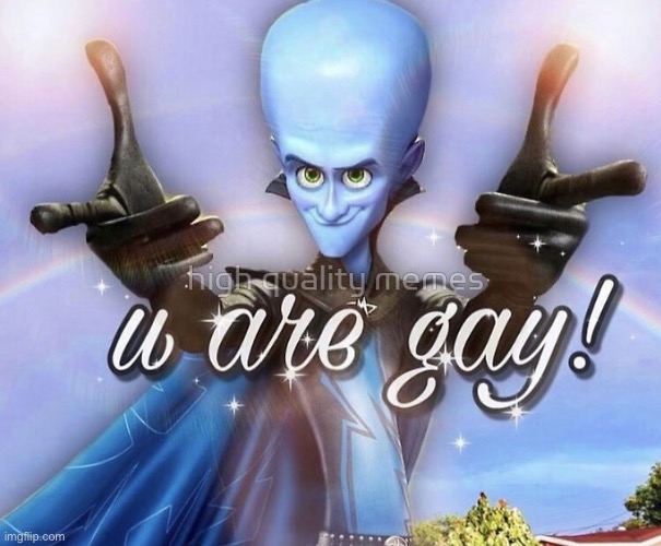 ✨Megamind you are gay✨ | image tagged in megamind you are gay | made w/ Imgflip meme maker