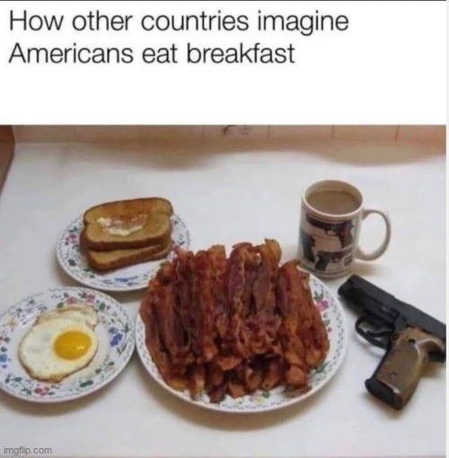 lol (tc note: Hey, I've seen this one!) | image tagged in memes,funny,americans,this is true ngl | made w/ Imgflip meme maker