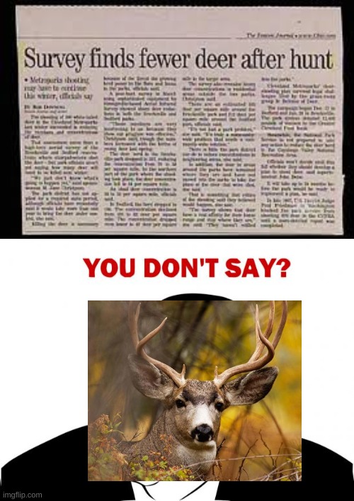 rip deer | image tagged in memes,you don't say,deer,funny,funny memes,stop reading the tags | made w/ Imgflip meme maker