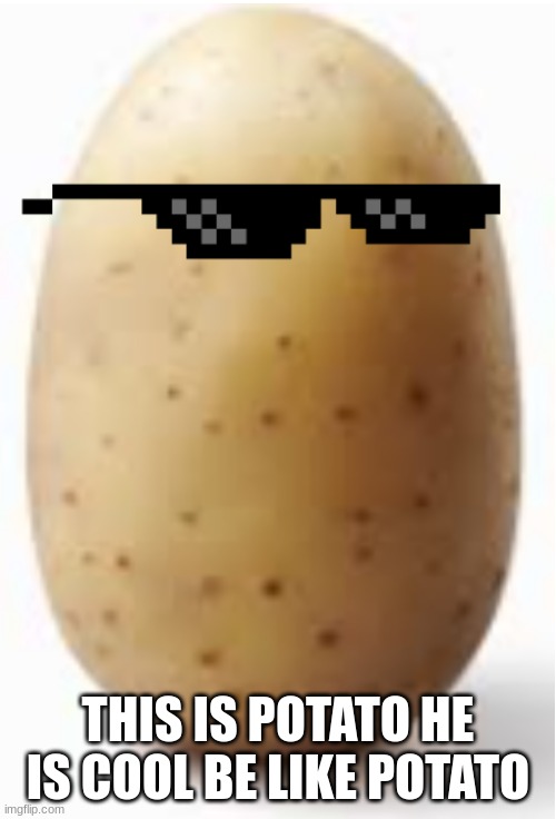 potato | THIS IS POTATO HE IS COOL BE LIKE POTATO | image tagged in potato | made w/ Imgflip meme maker