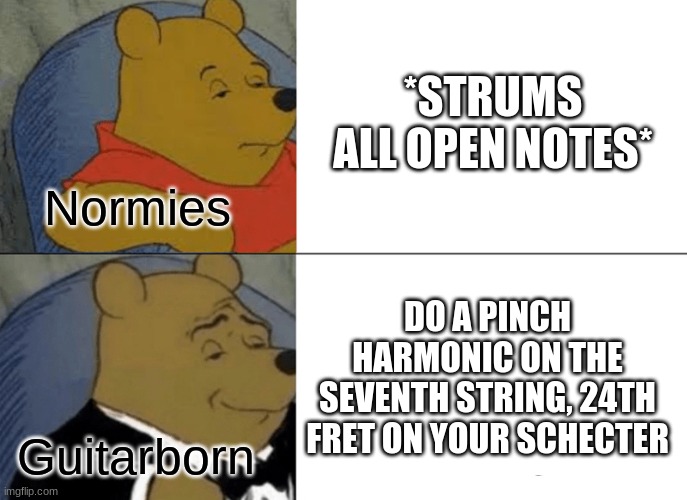 GuitarBorn | *STRUMS ALL OPEN NOTES*; Normies; DO A PINCH HARMONIC ON THE SEVENTH STRING, 24TH FRET ON YOUR SCHECTER; Guitarborn | image tagged in memes,tuxedo winnie the pooh | made w/ Imgflip meme maker