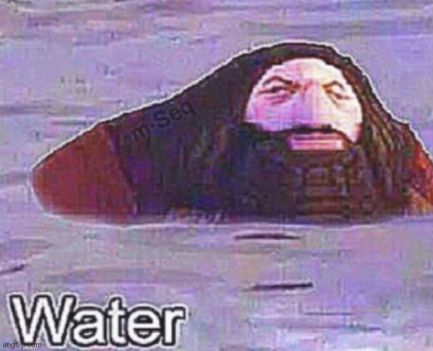 Water | image tagged in water | made w/ Imgflip meme maker