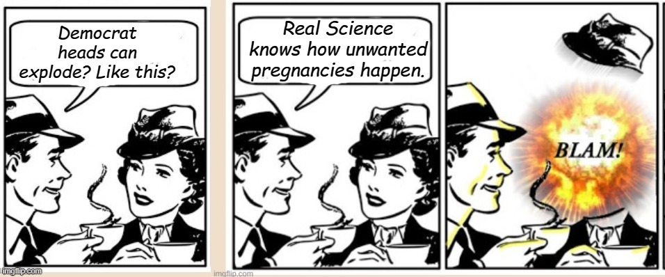 another BLAM | Democrat heads can explode? Like this? Real Science knows how unwanted pregnancies happen. | image tagged in another blam | made w/ Imgflip meme maker
