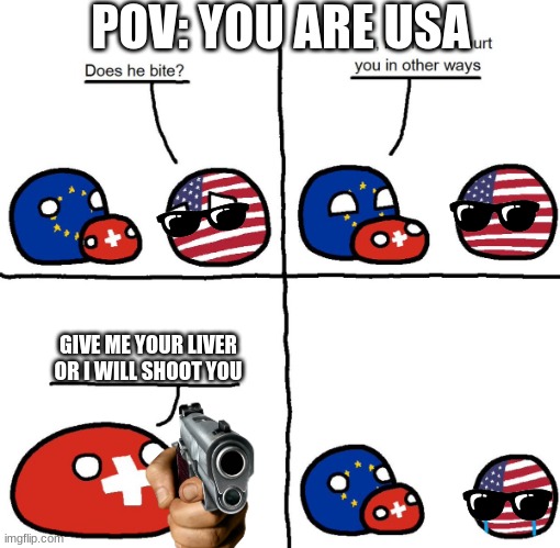 pov: usa gets roasted | POV: YOU ARE USA; GIVE ME YOUR LIVER OR I WILL SHOOT YOU | image tagged in switzerlandball hurts usa in other ways | made w/ Imgflip meme maker