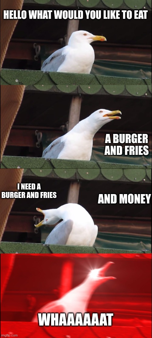 Inhaling Seagull | HELLO WHAT WOULD YOU LIKE TO EAT; A BURGER AND FRIES; I NEED A BURGER AND FRIES; AND MONEY; WHAAAAAAT | image tagged in memes,inhaling seagull | made w/ Imgflip meme maker