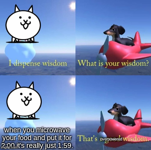 Wisdom dog | when you microwave your food and put it for 2:00 it's really just 1:59. overpowered | image tagged in wisdom dog | made w/ Imgflip meme maker
