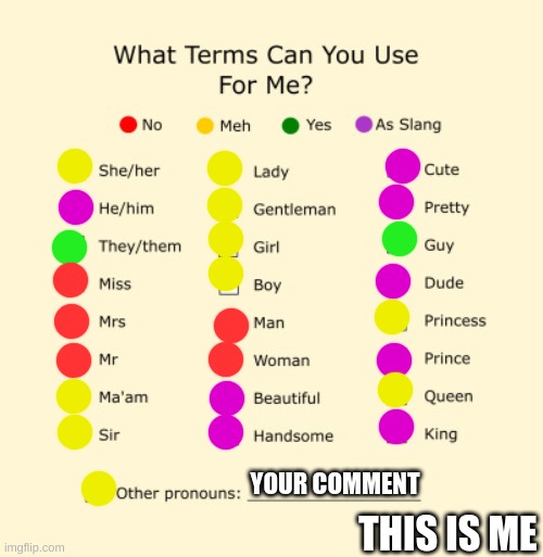 Pronouns Sheet | YOUR COMMENT; THIS IS ME | image tagged in pronouns sheet | made w/ Imgflip meme maker