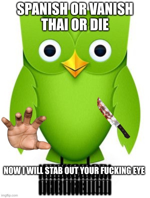 Dou | ||||||||||||||||||
||||||||||||||||||; NOW I WILL STAB OUT YOUR FUCKING EYE | image tagged in memes | made w/ Imgflip meme maker