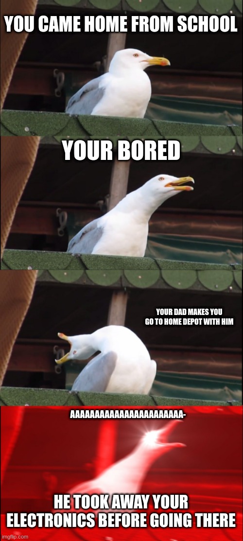 Inhaling Seagull | YOU CAME HOME FROM SCHOOL; YOUR BORED; YOUR DAD MAKES YOU GO TO HOME DEPOT WITH HIM; AAAAAAAAAAAAAAAAAAAAAAA-; HE TOOK AWAY YOUR ELECTRONICS BEFORE GOING THERE | image tagged in memes,inhaling seagull | made w/ Imgflip meme maker