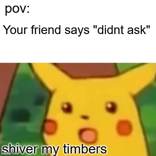 Surprised Pikachu | pov:; Your friend says "didnt ask"; shiver my timbers | image tagged in memes,surprised pikachu | made w/ Imgflip meme maker