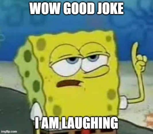 Wow Good Joke I Am Laughing | image tagged in wow good joke i am laughing | made w/ Imgflip meme maker