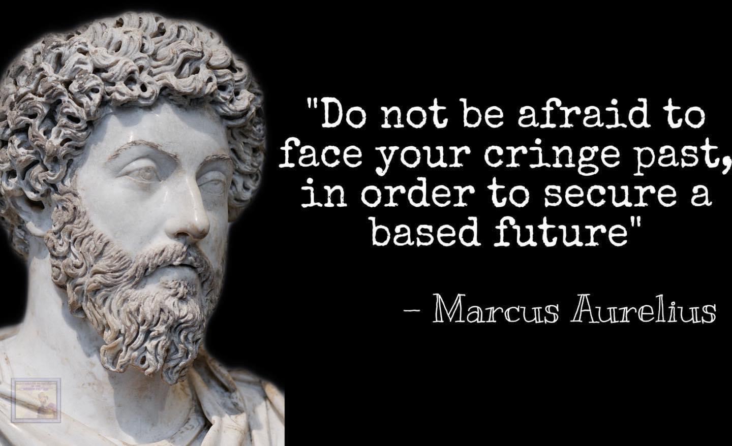 High Quality Marcus Aurelius satirical quote Blank Meme Template
