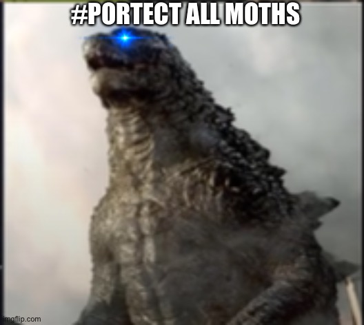 godzilla wtf is that | #PORTECT ALL MOTHS | image tagged in godzilla wtf is that | made w/ Imgflip meme maker