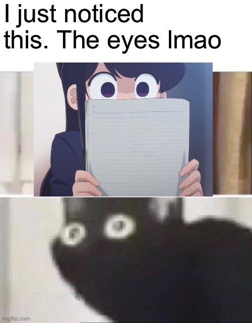 Oh No Black Cat | I just noticed this. The eyes lmao | image tagged in oh no black cat | made w/ Imgflip meme maker