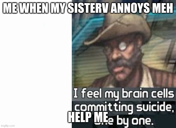 reeee | ME WHEN MY SISTERV ANNOYS MEH; HELP ME | image tagged in i feel my brain cells commiting suicide one by one | made w/ Imgflip meme maker