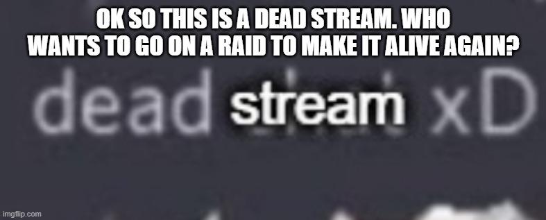 Anyone who's with me give stream suggestions | OK SO THIS IS A DEAD STREAM. WHO WANTS TO GO ON A RAID TO MAKE IT ALIVE AGAIN? | image tagged in dead stream xd | made w/ Imgflip meme maker
