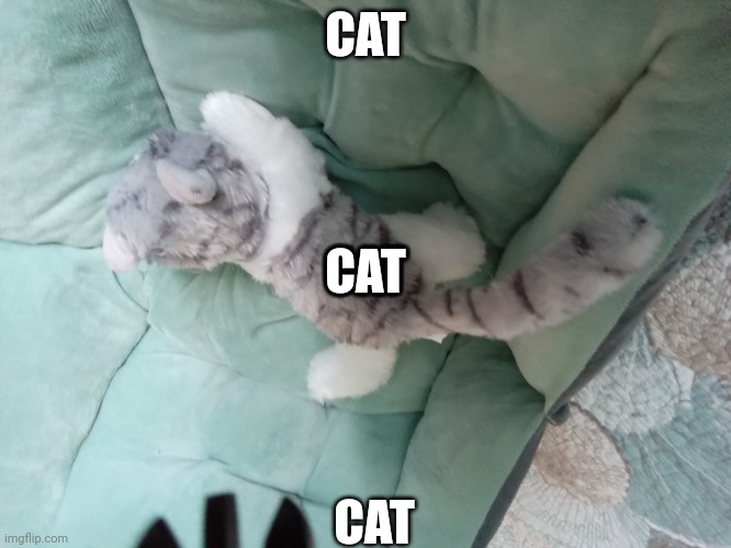 Cat plush (NO COPYING) | CAT; CAT; CAT; CAT; CAT | image tagged in cat cute | made w/ Imgflip meme maker