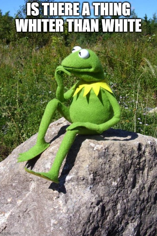 Kermit-thinking | IS THERE A THING WHITER THAN WHITE | image tagged in kermit-thinking | made w/ Imgflip meme maker