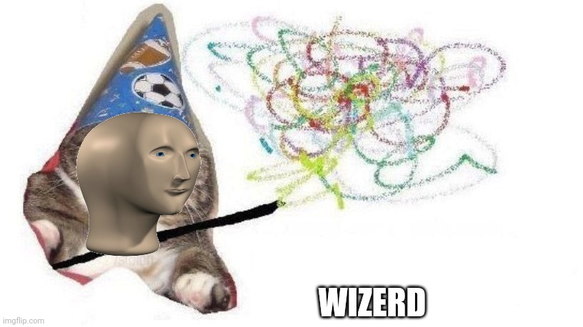 Wizard Cat | WIZERD | image tagged in wizard cat | made w/ Imgflip meme maker