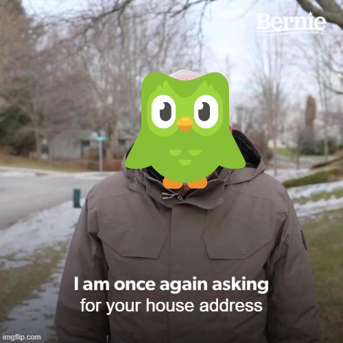 duo | for your house address | image tagged in memes,bernie i am once again asking for your support | made w/ Imgflip meme maker