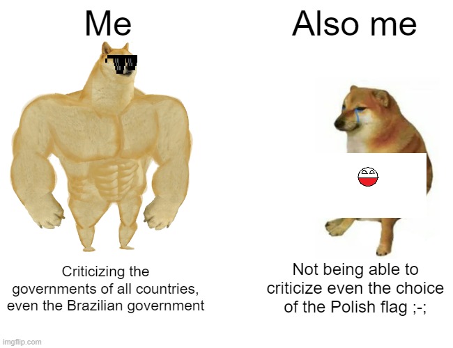 Enfim, a ironia | Me; Also me; Not being able to criticize even the choice of the Polish flag ;-;; Criticizing the governments of all countries, even the Brazilian government | image tagged in memes,buff doge vs cheems | made w/ Imgflip meme maker