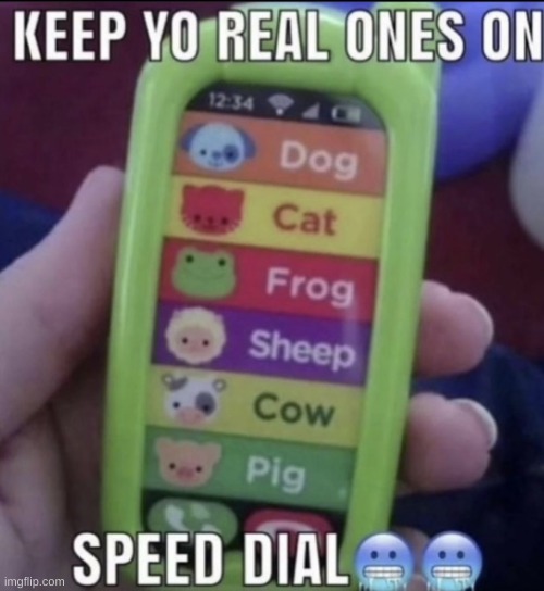 when you don't have any real ones :( | image tagged in meme,memes,funny | made w/ Imgflip meme maker