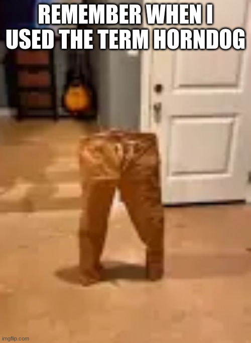 a little scoundrel | REMEMBER WHEN I USED THE TERM HORNDOG | image tagged in a little scoundrel | made w/ Imgflip meme maker