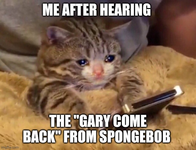 True right |  ME AFTER HEARING; THE "GARY COME BACK" FROM SPONGEBOB | image tagged in sad cat phone,spongebob,sad,cat,gary come back | made w/ Imgflip meme maker