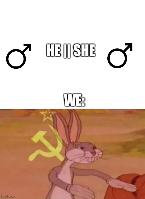 I used same symbols | HE || SHE; WE: | image tagged in blank white template,bugs bunny communist,soviet russia,russia | made w/ Imgflip meme maker