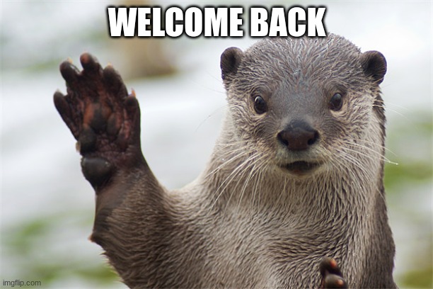 Welcome Back, Otter. | WELCOME BACK | image tagged in welcome back otter | made w/ Imgflip meme maker