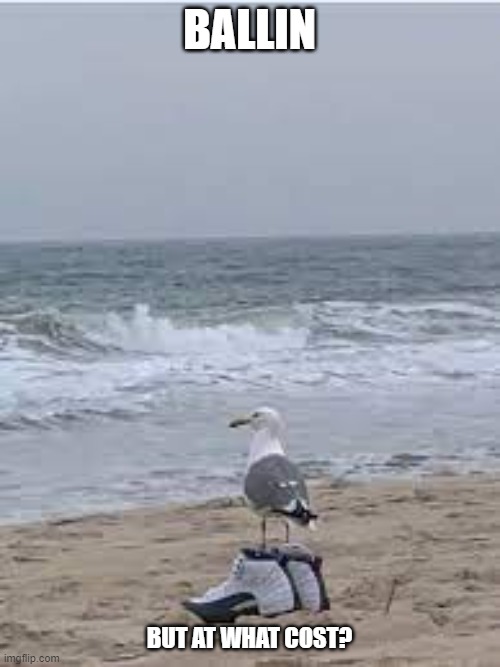 Ballin but at what cost | BALLIN BUT AT WHAT COST? | image tagged in ballin but at what cost | made w/ Imgflip meme maker