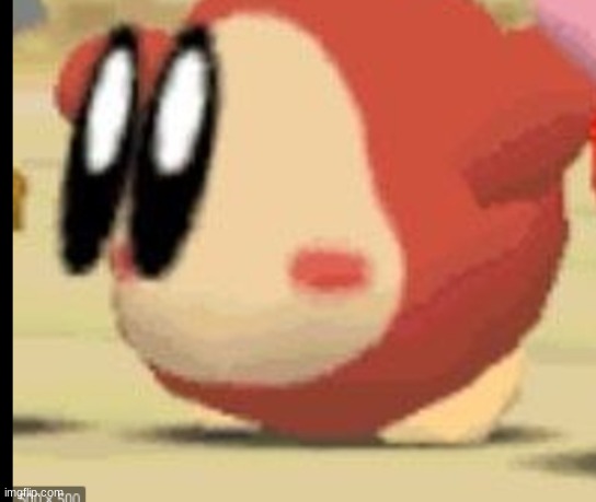 what they do to my boi woddle de | made w/ Imgflip meme maker