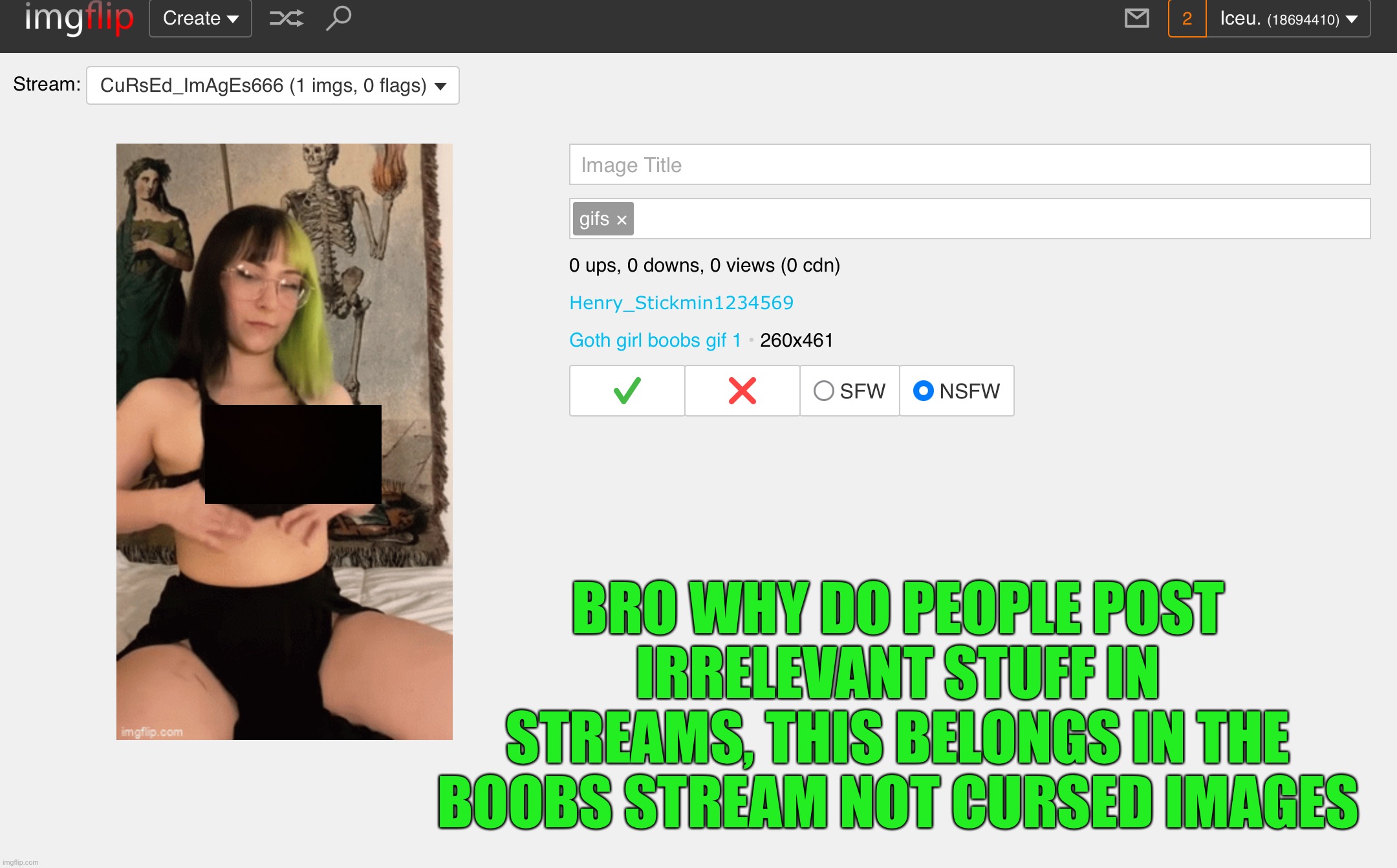 There wasn’t any nudity but I censored it anyway | BRO WHY DO PEOPLE POST IRRELEVANT STUFF IN STREAMS, THIS BELONGS IN THE BOOBS STREAM NOT CURSED IMAGES | made w/ Imgflip meme maker