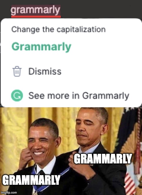 GRAMMARLY; GRAMMARLY | image tagged in obama medal | made w/ Imgflip meme maker