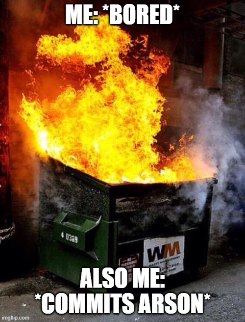 :D | ME: *BORED*; ALSO ME: *COMMITS ARSON* | image tagged in dumpster fire | made w/ Imgflip meme maker