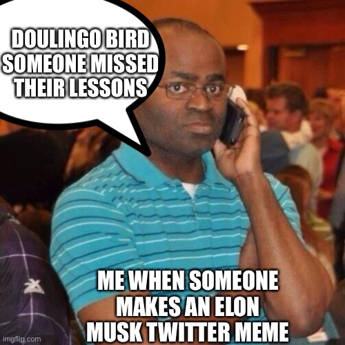 It’s not funny | DOULINGO BIRD SOMEONE MISSED THEIR LESSONS; ME WHEN SOMEONE MAKES AN ELON MUSK TWITTER MEME | image tagged in stop it get some help | made w/ Imgflip meme maker