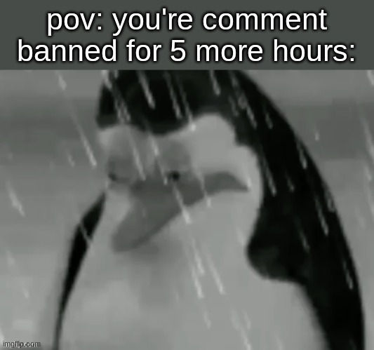pov: you're comment banned for 5 more hours: | made w/ Imgflip meme maker