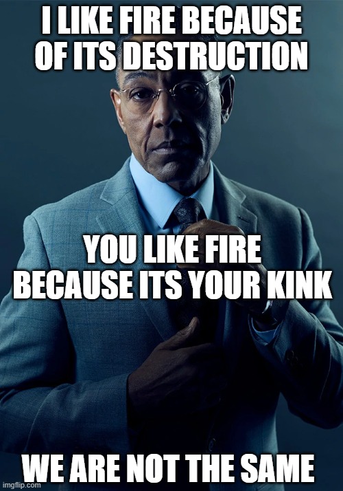 We are not the same | I LIKE FIRE BECAUSE OF ITS DESTRUCTION; YOU LIKE FIRE BECAUSE ITS YOUR KINK; WE ARE NOT THE SAME | image tagged in we are not the same | made w/ Imgflip meme maker