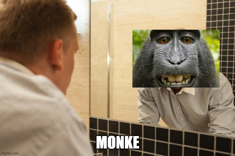 monke | MONKE | image tagged in man looking in mirror | made w/ Imgflip meme maker