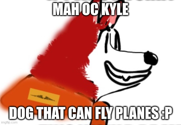 my first oc post | MAH OC KYLE; DOG THAT CAN FLY PLANES :P | image tagged in dog | made w/ Imgflip meme maker