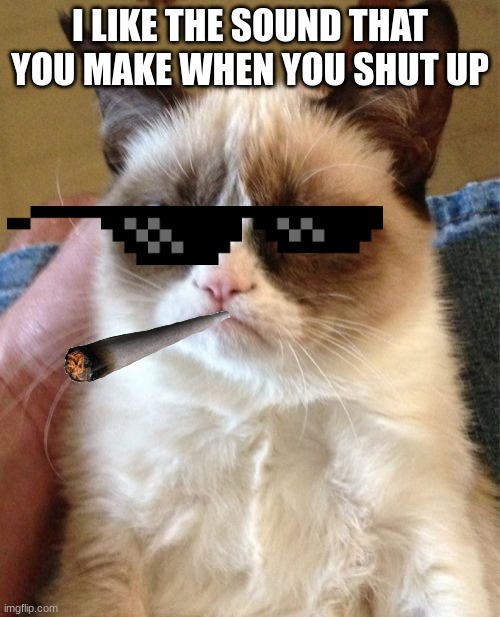 I don't offend you im offending the other viewer >3 | I LIKE THE SOUND THAT YOU MAKE WHEN YOU SHUT UP | image tagged in memes,grumpy cat | made w/ Imgflip meme maker