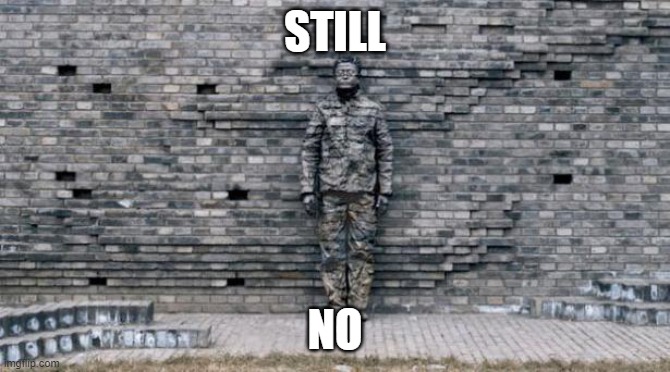 camouflage wall | STILL NO | image tagged in camouflage wall | made w/ Imgflip meme maker