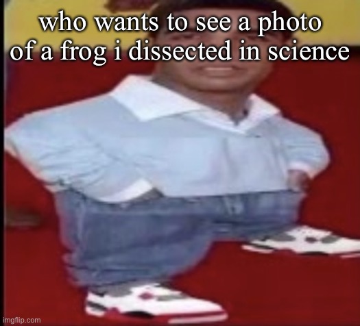 driz tiny | who wants to see a photo of a frog i dissected in science | image tagged in driz tiny | made w/ Imgflip meme maker
