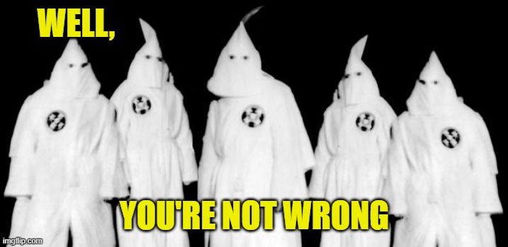 kkk | WELL, YOU'RE NOT WRONG | image tagged in kkk | made w/ Imgflip meme maker