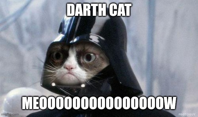 Grumpy Cat Star Wars Meme | DARTH CAT; MEOOOOOOOOOOOOOOOW | image tagged in memes,grumpy cat star wars,grumpy cat | made w/ Imgflip meme maker