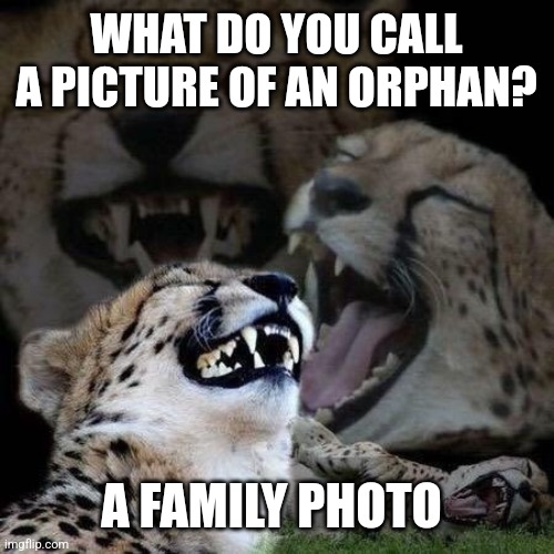 Laughing | WHAT DO YOU CALL A PICTURE OF AN ORPHAN? A FAMILY PHOTO | image tagged in laughing | made w/ Imgflip meme maker