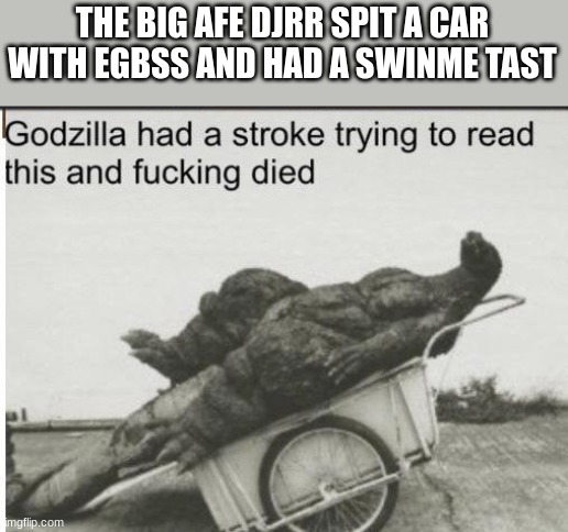 sooooooo yea | THE BIG AFE DJRR SPIT A CAR WITH EGBSS AND HAD A SWINME TAST | image tagged in godzilla | made w/ Imgflip meme maker